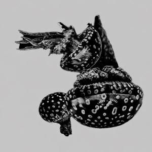 Competition entry: The Beauty Below