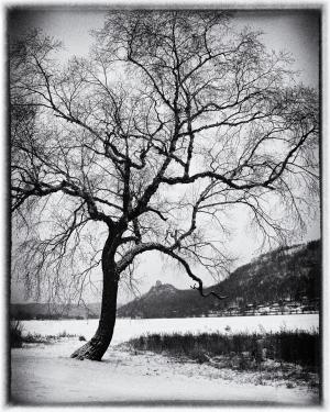 Competition entry: Winter in Winona