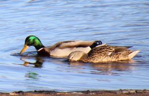 Competition entry: Taking it easy