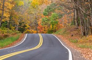 Competition entry: Colorful Drive