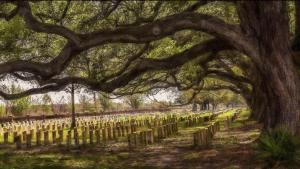 Competition entry: Historical grave Savana Georgia