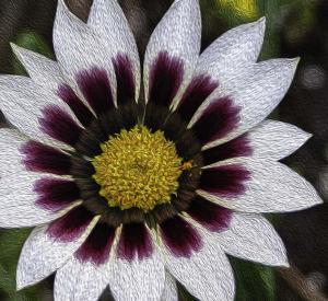 Competition entry: One of God's Creations