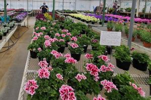 La Crosse Floral Greenhouse