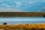 Competition entry: Alaska's Beauty